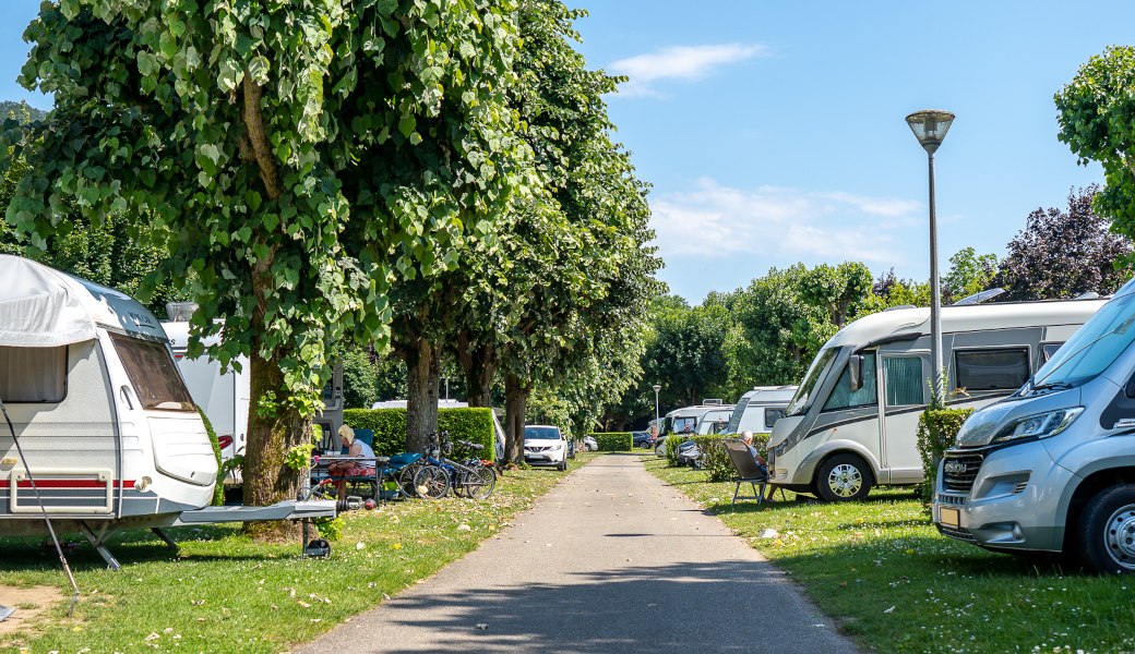 Kampeerplaatsen op camping de Kaysersberg in de Elzas