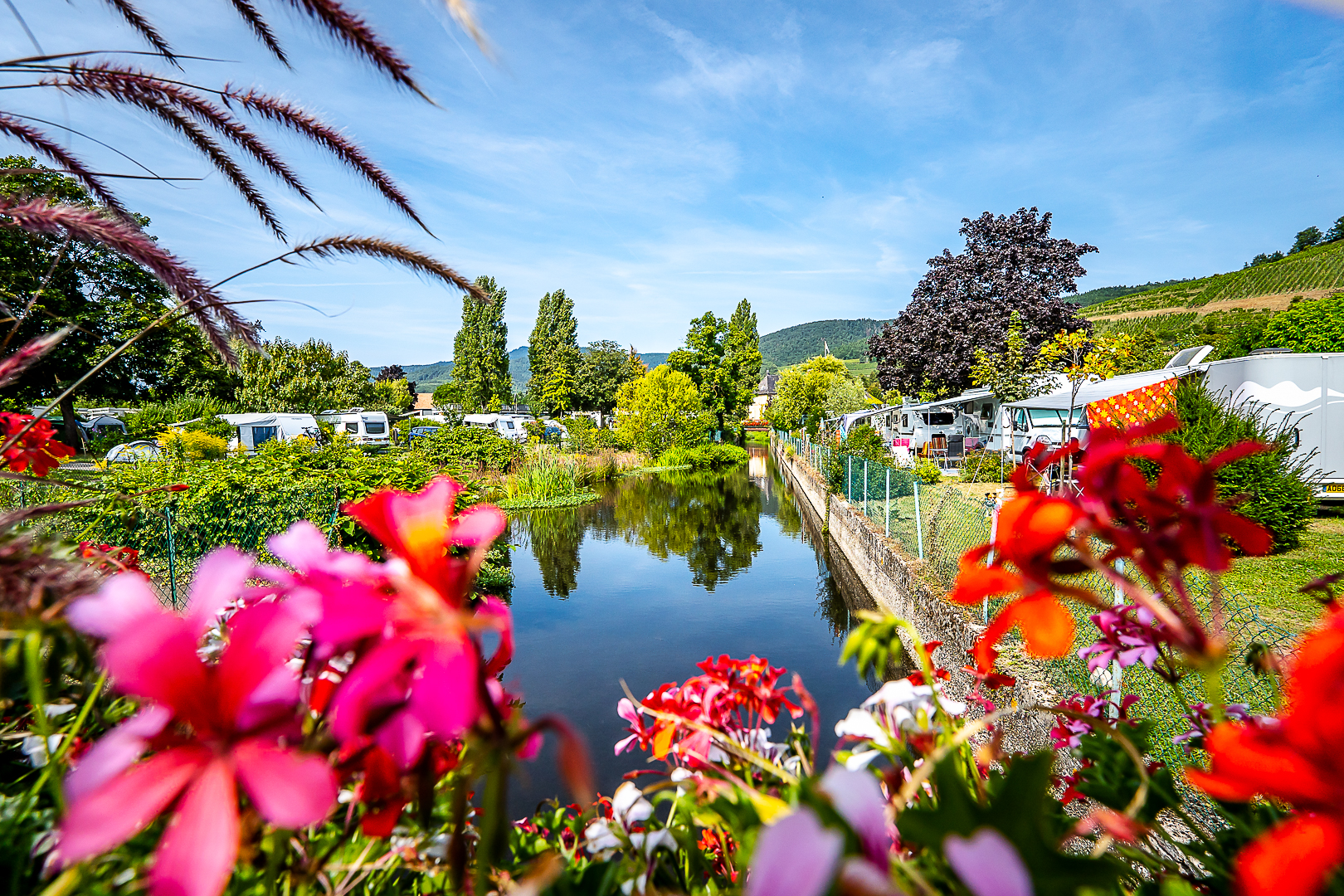 Belle vue du camping le Médiéval à Turckheim