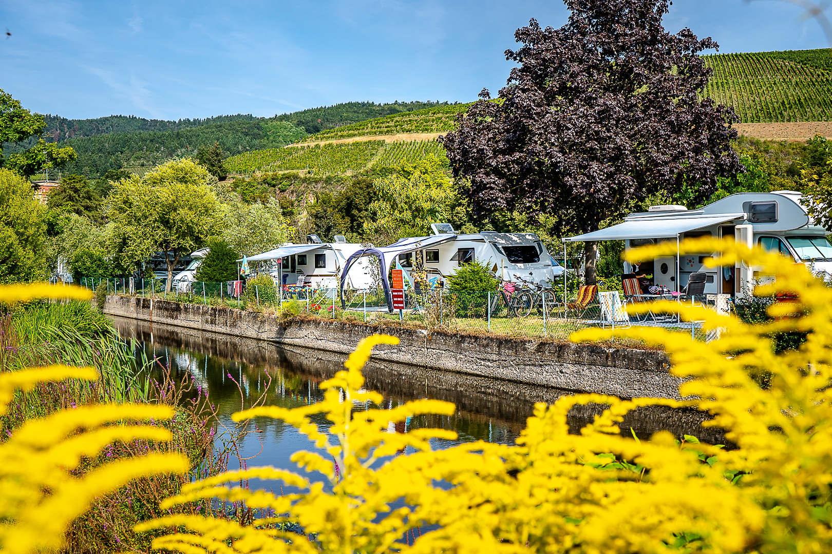 Emplacements du camping le Médiéval à Turckheim en Alsace